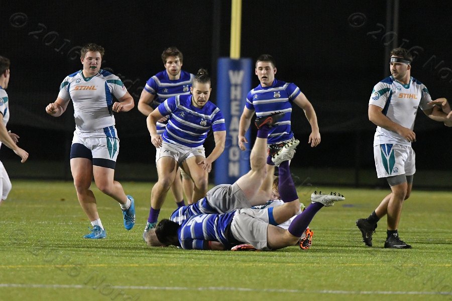Wheaton College Men\'s Rugby vs Salve Regina. - Photo By: KEITH NORDSTROM